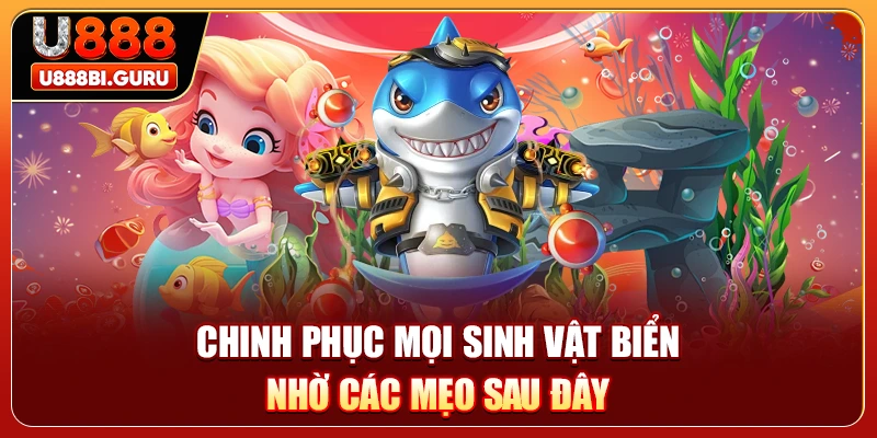 Chinh phục mọi sinh vật biển nhờ các mẹo sau đây