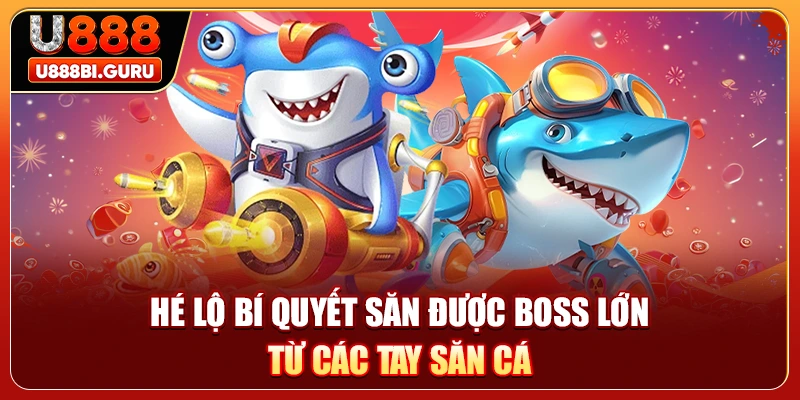Hé lộ bí quyết săn được Boss lớn từ các tay săn cá